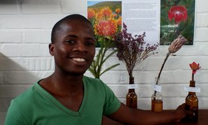 Toerisme verwelkom Ally